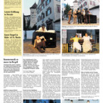 Südostschweiz, Revisor