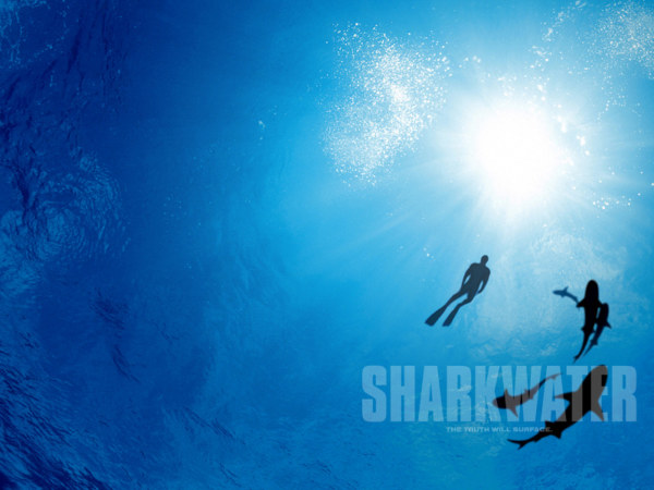 Sharkwater